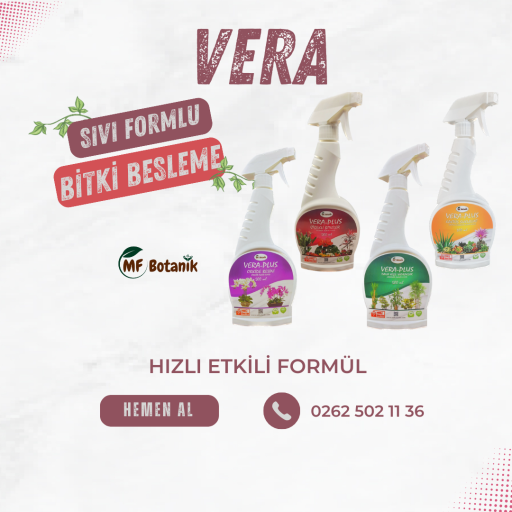 Bitki Besleme